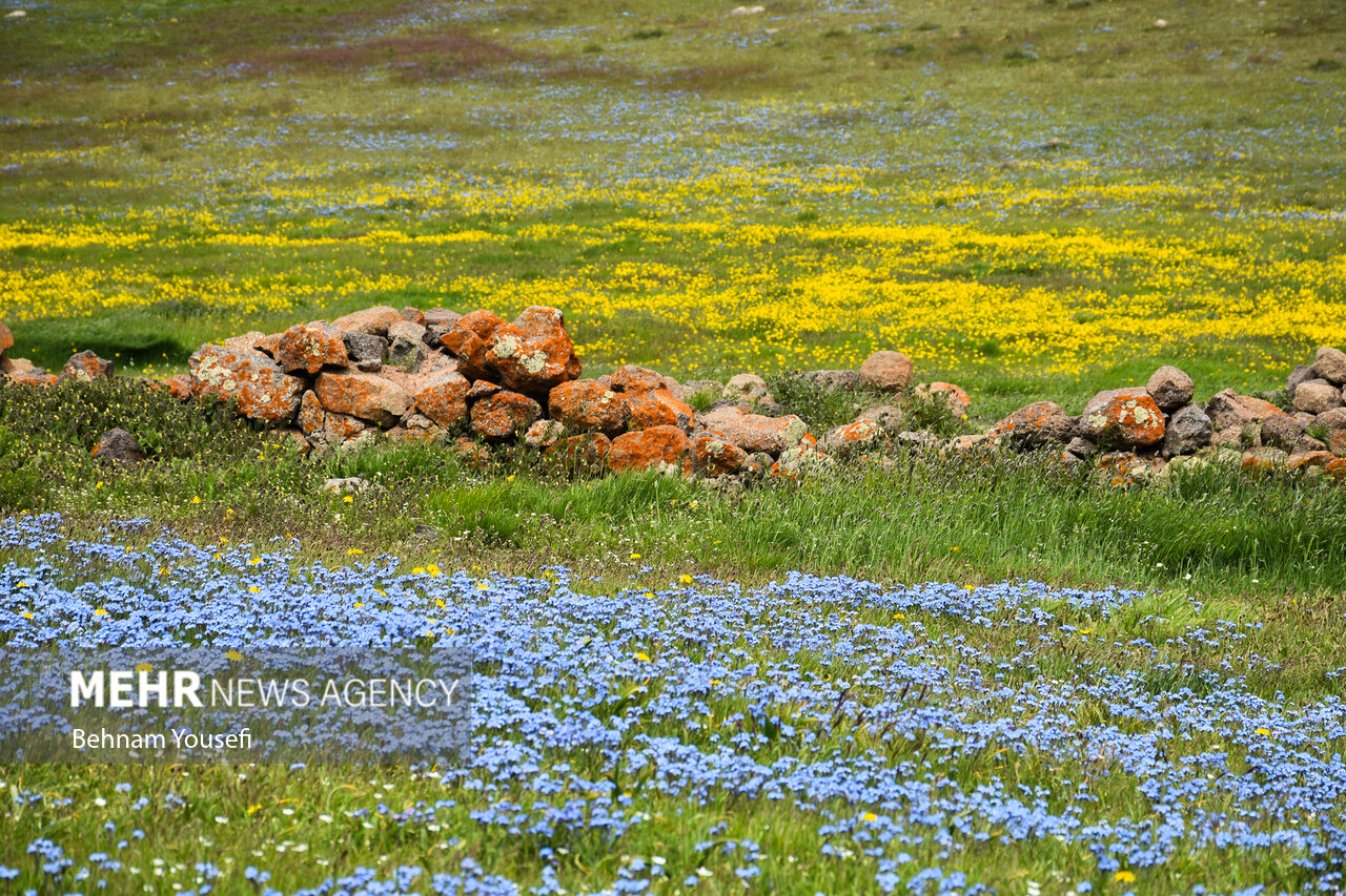 جاده‌ای میان دو اقلیم