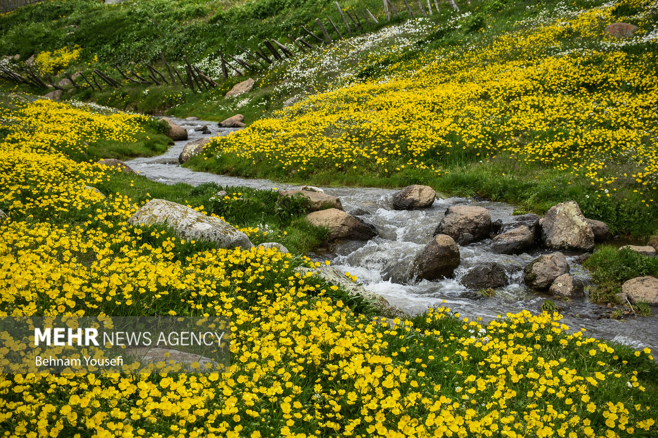 جاده‌ای میان دو اقلیم