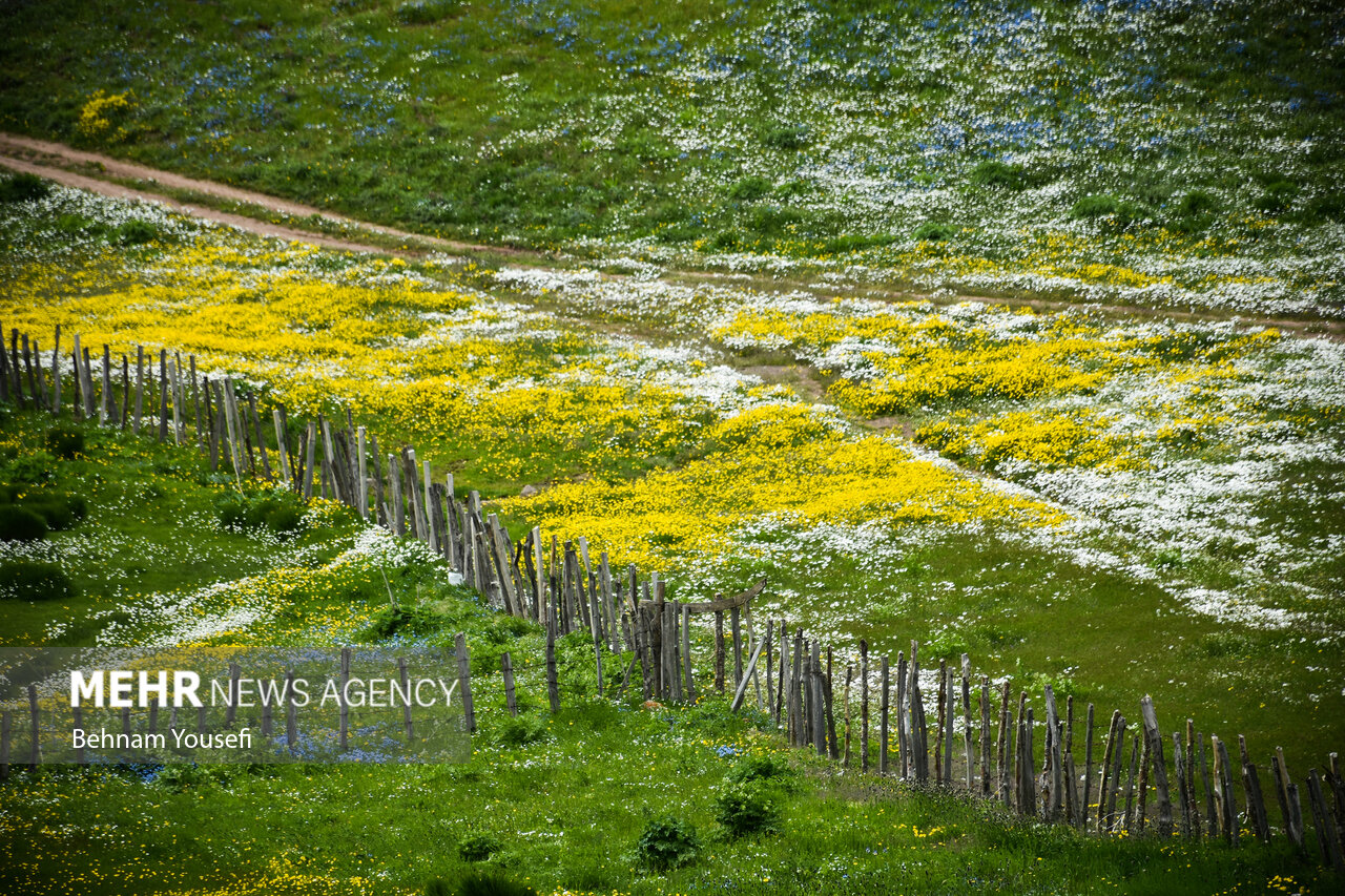 جاده‌ای میان دو اقلیم