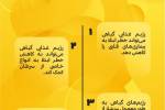 رژیم غذایی گیاهی + اینفوگرافی