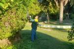  عملیات نگهداشت و توسعه فضای سبز در منطقه 3 اهواز