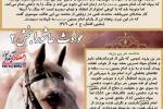 حوادث عاشورا بخش 2   + ایفوگرافی