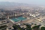 جایگاه برتر شرکت پالایش نفت بندرعباس در بخش فروش اقتصاد ایران