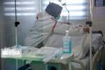 موارد بستری با علائم شدید تنفسی در جنوب غرب خوزستان رو به افزایش است
