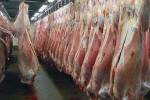 توزیع ۴۷ تن گوشت قرمز منجمد در استان قزوین