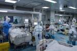 ۱۲۵ بیمار جدید مبتلا به کرونا در فارس بستری شدند