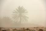 گرد و غبار کرمان را فرا می گیرد