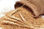 ۱۲۰۰ روستای مازندران از شورای زکات برخوردار هستند