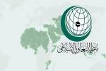 منظمة التعاون الإسلامي تؤكد على حق دولة فلسطين في تجسيد مكانتها السياسية في الأمم المتحدة
