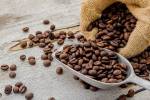 نوسانات قیمت گندم ادامه دارد