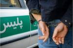 ۶ فقره سرقت در یزد کشف شد