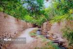 ده بالا؛ نگین سبز کویر در دامنه شیرکوه