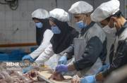 ۸۵ هزار طرح اشتغال‌زایی در مناطق محروم به بهره‌برداری رسید