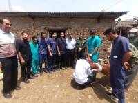 رزمایش واکسیناسیون ۲۵۰ هزار راس دام در استان فارس برگزار شد