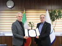 سلطانی مدیرکل دفتر مشترک فدراسیون ها شد
