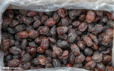 Iran second-biggest global date producer
