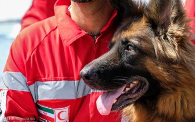 VIDEO: Red Crescent rescue dogs applauded by Iranians