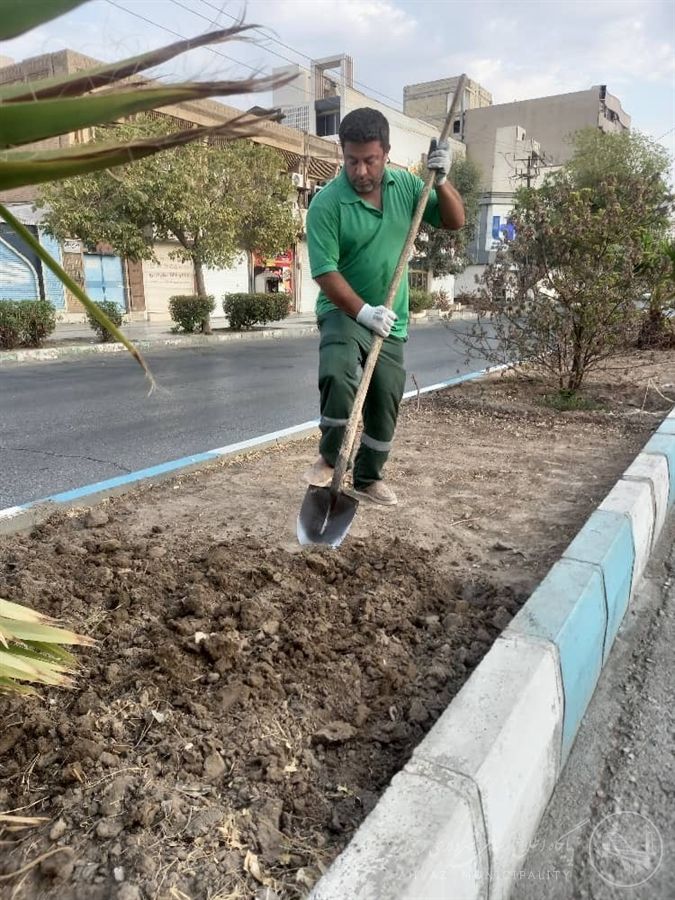 آمادهسازی بستر خاک آیلند میانی بلوار چمران کیانپارس جهت گلکاری