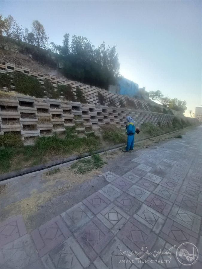 آغاز عملیات هرس درختان در سطح منطقه هفت همزمان با طرح استقبال از مهر