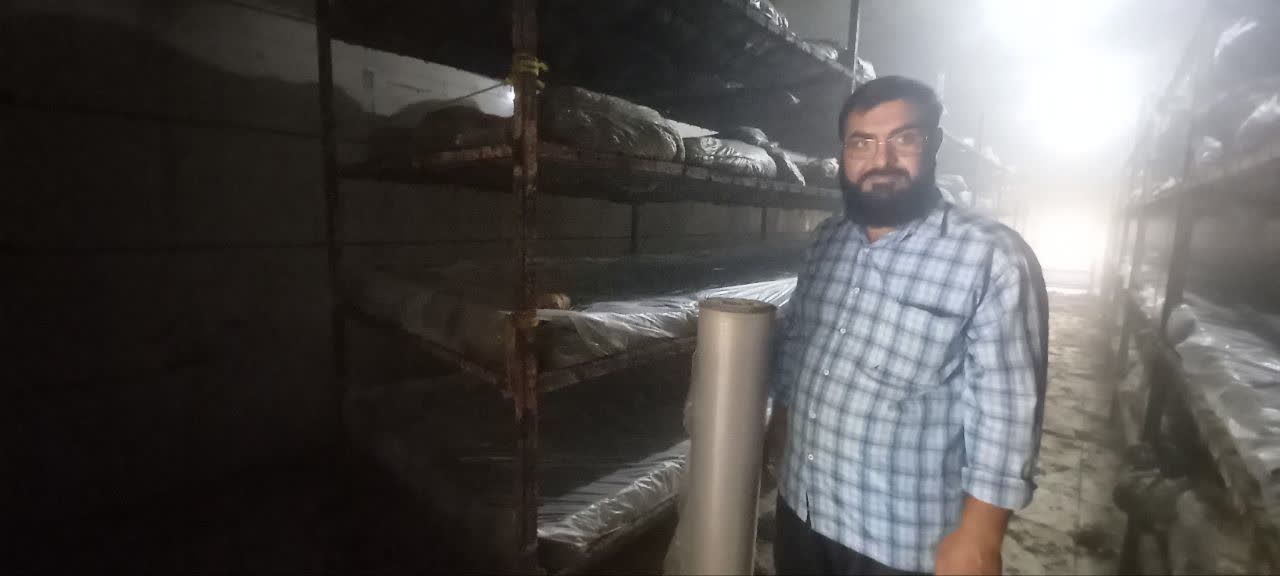 بازدید از واحدهای پرورش قارچ خوراکی در روستای قلعهشور از توابع مرکز جهاد کشاورزی کرارج