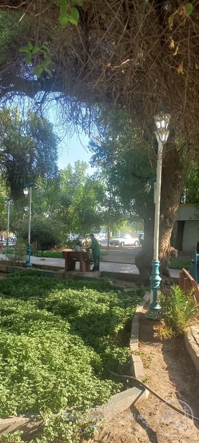 تعمیر و نوسازی سیستم روشنایی پارک افشاری امانیه