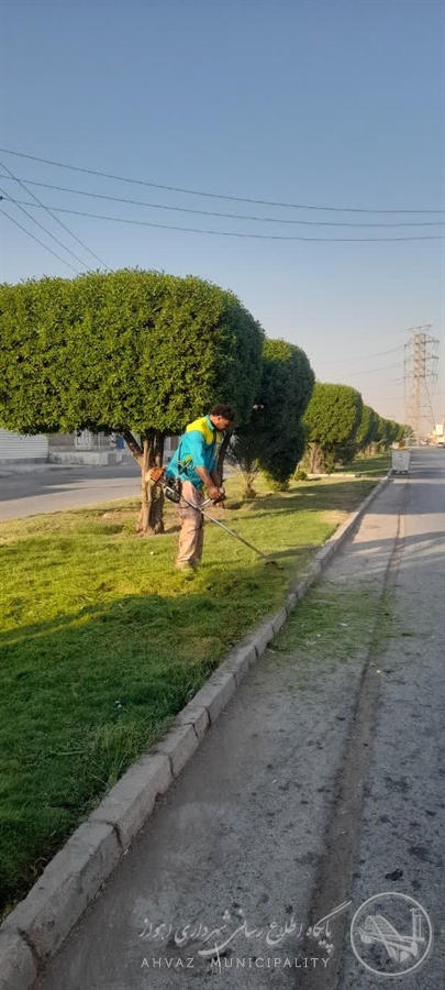 استمرار عملیات ساماندهی و بهسازی فضای سبز در منطقه ۶ اهواز