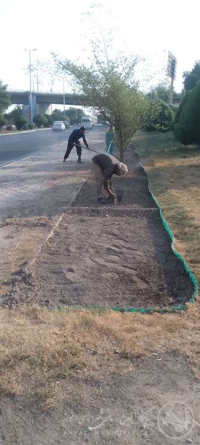 ادامه عملیات بذرپاشی گل در بلوار ساحلی شرقی در منطقه هفت اهواز