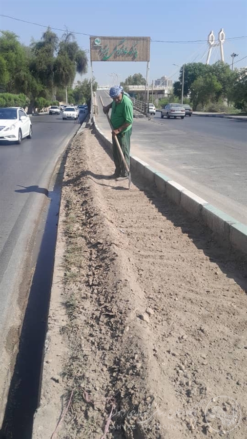آماده‌سازی بستر خاک برای کاشت پیچک رونده در ورودی پل جزیره