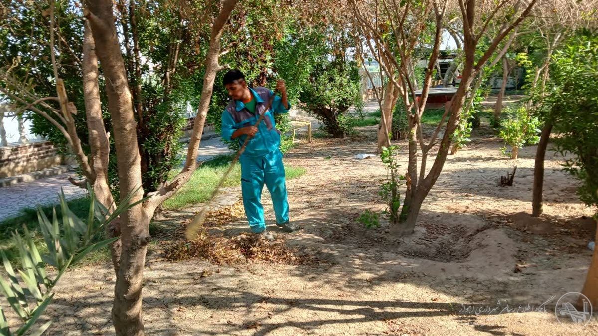 ساماندهی و بهبود فضای سبز شهری منطقه یک بطور مستمر در حال انجام است