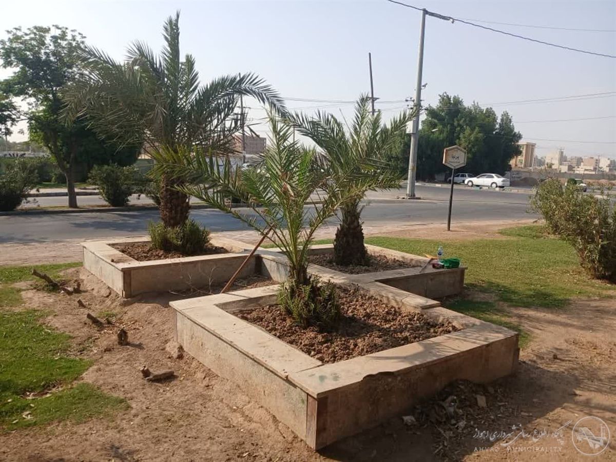 از باغچهسازی تا هرس و آبیاری؛ طراوت دوباره در فضای سبز در منطقه ۶ اهواز