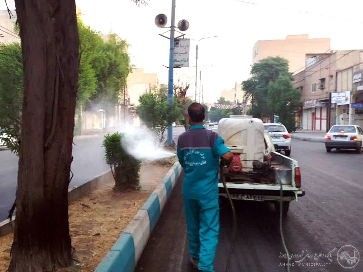 عملیات مکانیزه شستوشوی درختان خیابان شریعتی در منطقه یک اجرا شد