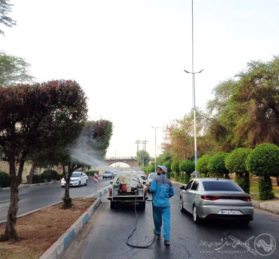طراوت دوباره درختان بلوار ساحل شرقی با اجرای عملیات شستوشوی درختان
