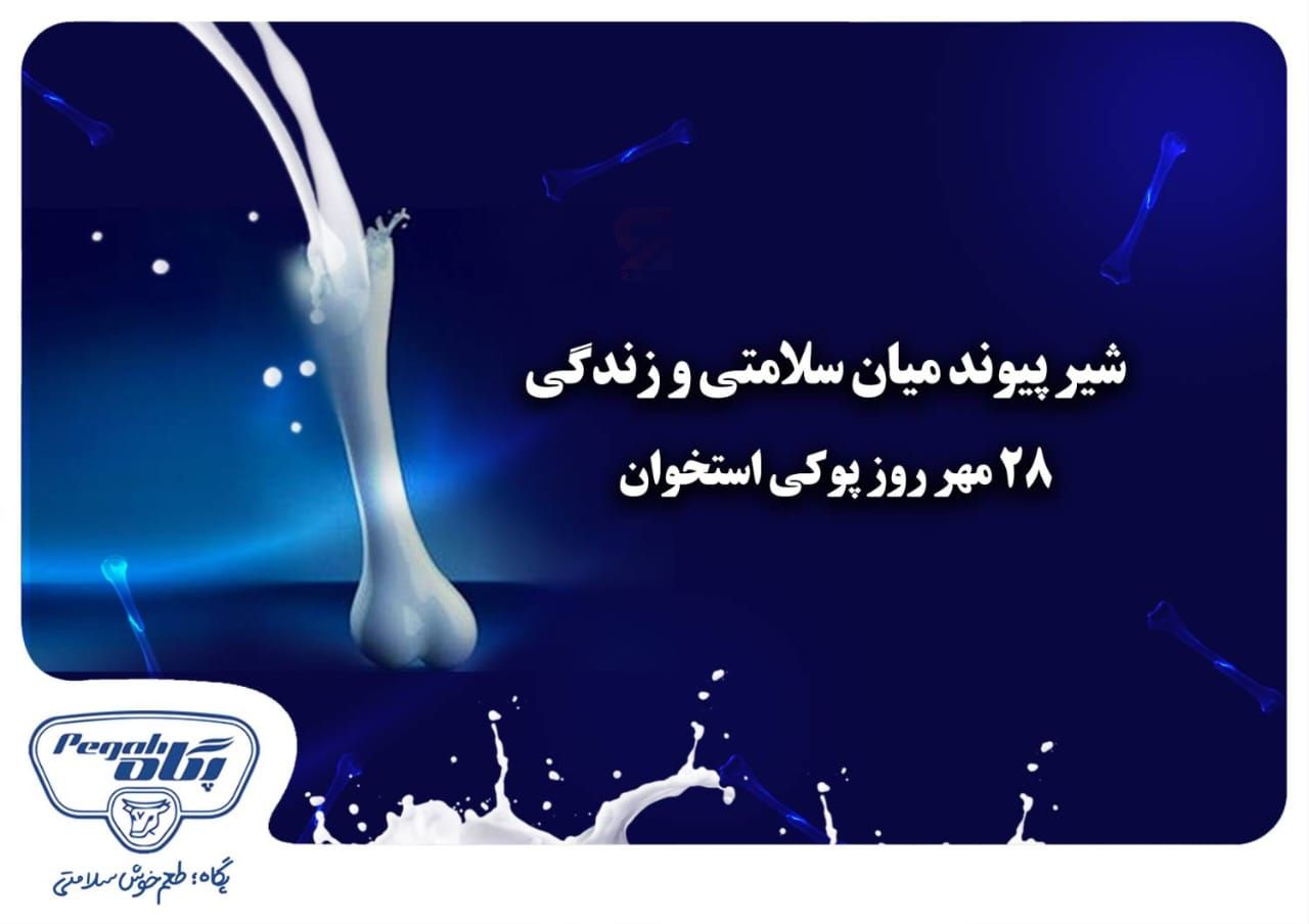 تهدید نظام سلامت با پوکی استخوان
