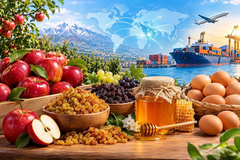 صادرات ۱۷۲ میلیون دلاری محصولات کشاورزی آذربایجان شرقی در نیمه نخست سال