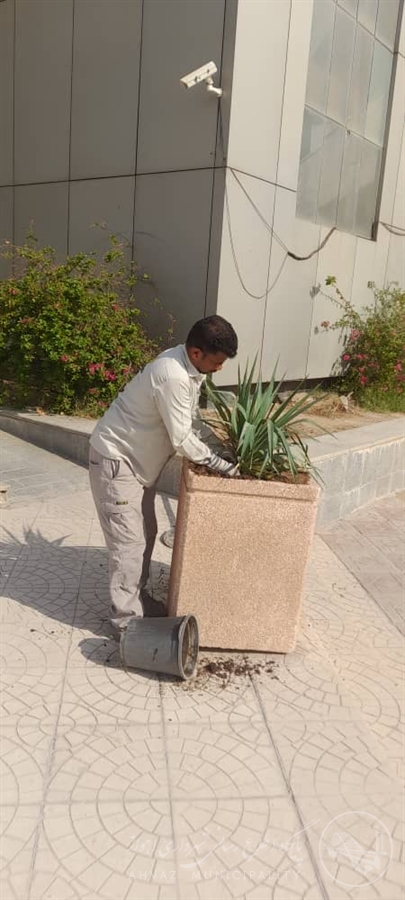 کاشت یوکا در ورودی کتابخانه مرکزی پارک دولت