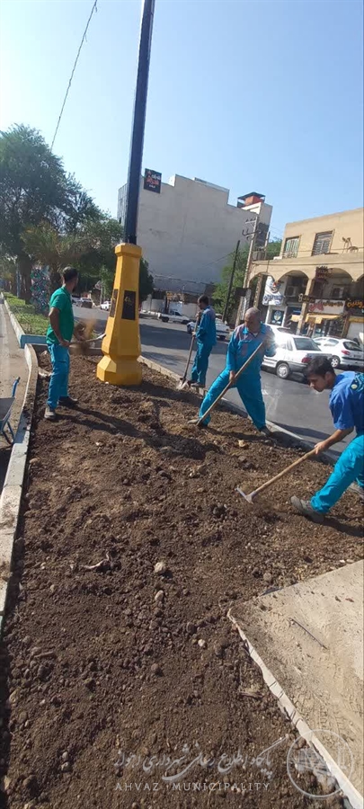 کاشت یوکا در بلوار جوادالائمه اهواز؛ ارتقای کیفیت فضای سبز شهری