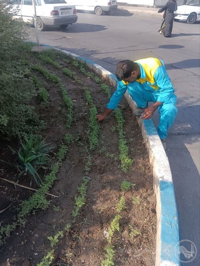 روایت یک روز تلاش در منطقه ۶ اهواز ، از دل خاک تا رویش زندگی