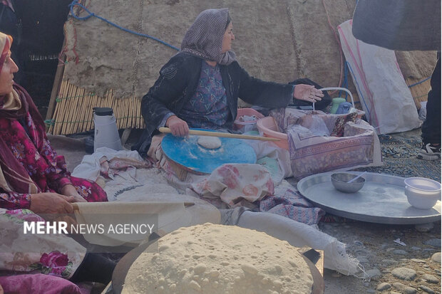 بازگشت شاهسونها به قشلاق مغان؛ جشنوارهای برای دیدهشدن ظرفیت عشایر