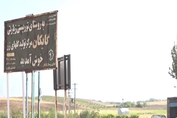 قصه گُلکاران «گایکان»؛ از حیاط خانه تا بازارهای آنسوی مرز