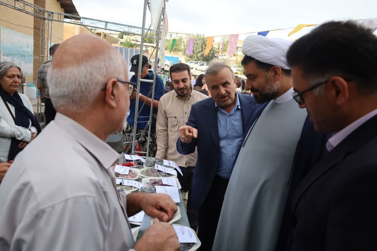سومین جشنواره ملی انگور و کشمش، روایتی شیرین از دل تاکستان‌های زرین مل