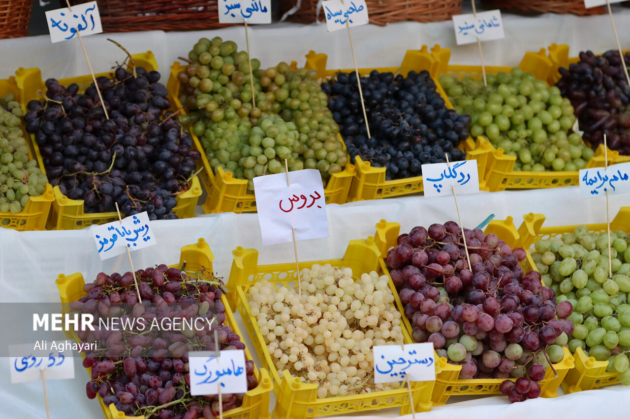 نهمین دوره جشنواره انگور ارومیه