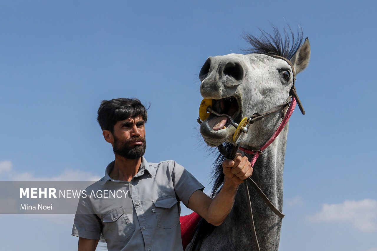 جشنواره فرهنگی ورزشی جام ستارخان در ورزقان