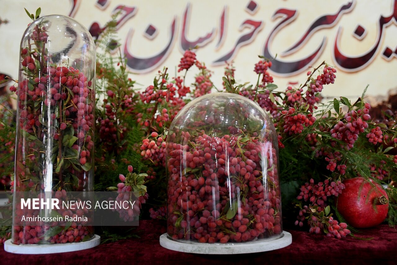 جشنواره زرشک در قائنات