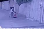 دستگیری متهم ردیف اول و دو همدست در پرونده زورگیری در غرب تهران