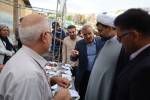 سومین جشنواره ملی انگور و کشمش، روایتی شیرین از دل تاکستان‌های زرین