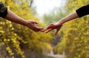تحکیم روابط عاطفی با مدیریت چالش های اقتصادی / گره های مالی، تهدیدی پنهان برای روابط عاطفی