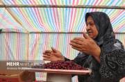 گنج سرخ در باغ‌های قزوین؛ زغال‌اخته‌ می‌تواند بیشتر از میوه فصلی باشد