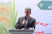 تحقیق برای تجاری‌سازی پرورش گوسفند تالشی در گیلان