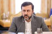 Sending Iran nuclear file to UNSC will get nowhere: Iran