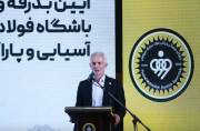 معاون وزیر ورزش: به اهتزاز در آمدن پرچم کشورمان دشمن را عصبانی می‌کند